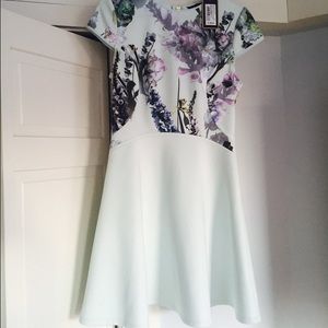 Ted Baker Skater Dress in Floral