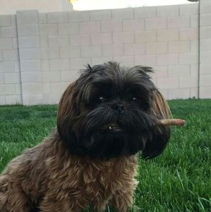 Meet your Posher, Holly