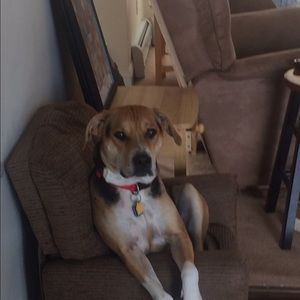 Meet your Posher, Sonya