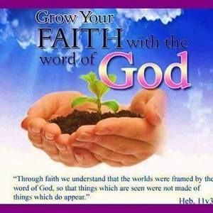 Meet your Posher, Lana