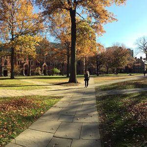 Meet your Posher, Corinne