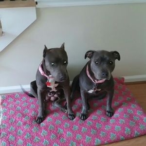 Meet your Posher, Mireya