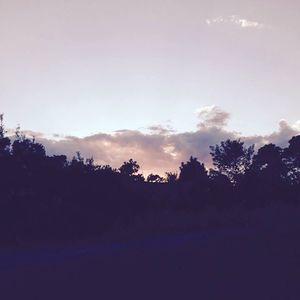 Meet your Posher, Dominic