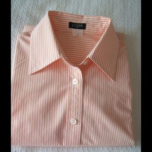 JCrew Long Sleeve Shirt REDUCED