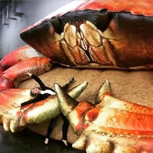 Meet your Posher, Devin