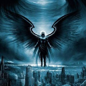 Meet your Posher, Donelle