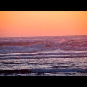 Meet your Posher, Misty