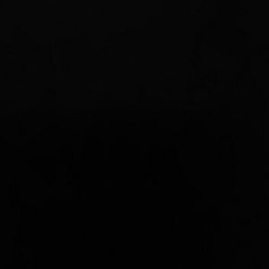 Meet your Posher, Curtis