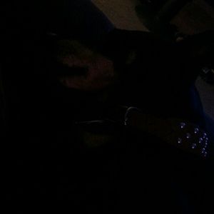 Meet your Posher, Robert