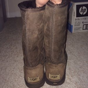 Chocolate Brown Uggs
