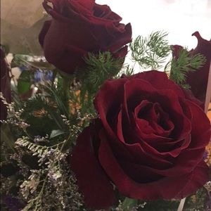 Meet your Posher, Paige