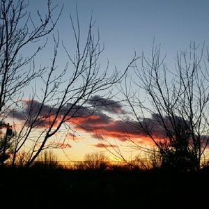 Meet your Posher, Missy