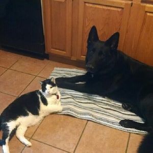 Meet your Posher, Tammy