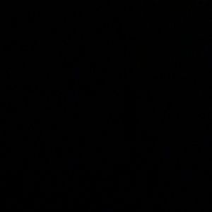 Meet your Posher, Trina