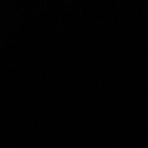 Meet your Posher, Ally