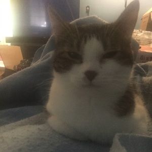 Meet your Posher, Patience