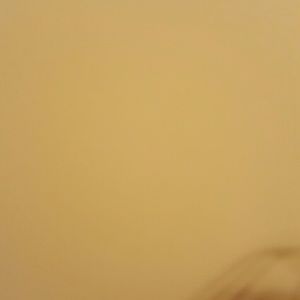 Meet your Posher, Dylan