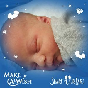 Meet your Posher, Andy n kelly