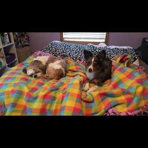 Meet your Posher, Josie