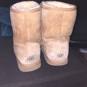 Used authentic Uggs