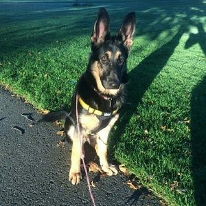 Meet your Posher, Debbie