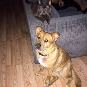 Meet your Posher, Cathy