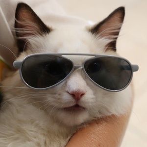 Meet your Posher, Angela