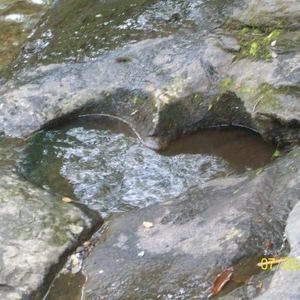 Meet your Posher, Holly