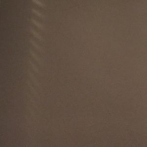 Meet your Posher, Sammie