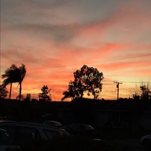 Meet your Posher, Cynthia