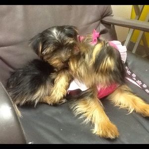 Meet your Posher, Jennifer