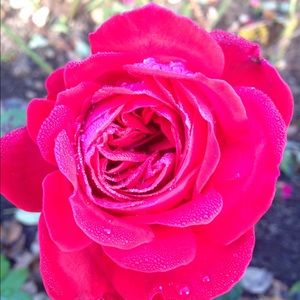 Meet your Posher, Keeran