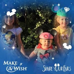 Meet your Posher, Tara