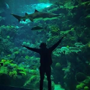 Meet your Posher, Chris