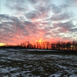 Meet your Posher, Dena