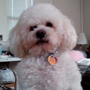 Meet your Posher, Sondra