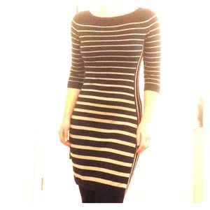 Ann Taylor Merino Wool Sweater Dress