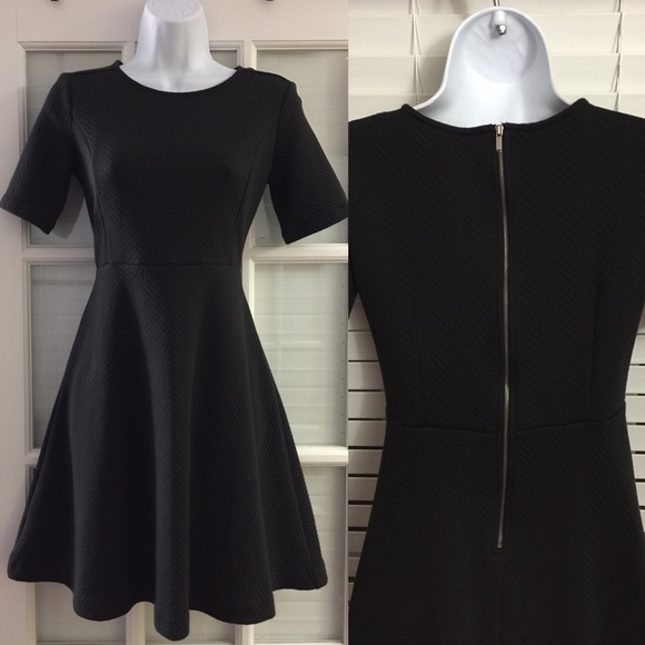 The Loft black Dress - Picture 1 of 1