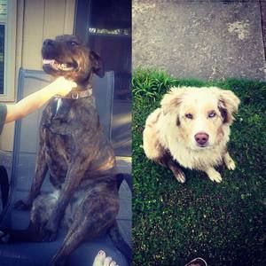 Meet your Posher, Kortney