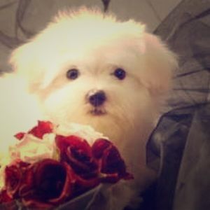 Closet closed until March 14!