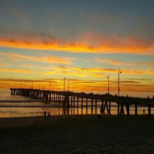 Meet your Posher, Shastina