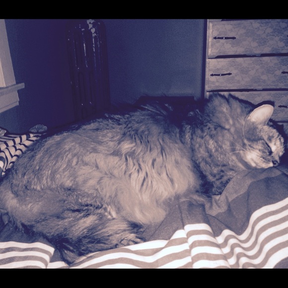 Meet your Posher, Hannah