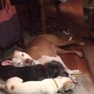 Meet your Posher, Elishamaria