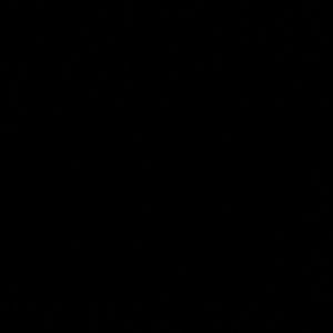 Meet your Posher, Trudy