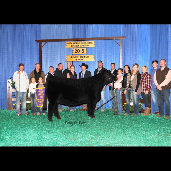 Meet your Posher, Holly