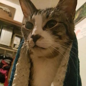 Meet your Posher, Holli