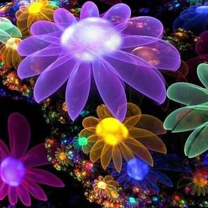 Meet your Posher, Chesmah