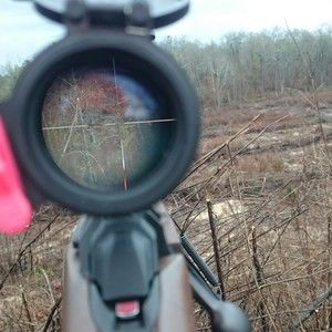 Meet your Posher, Clay