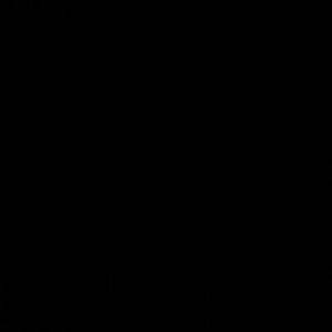 Meet your Posher, Trisha