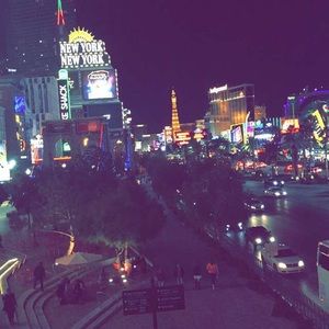 Meet your Posher, Shelby